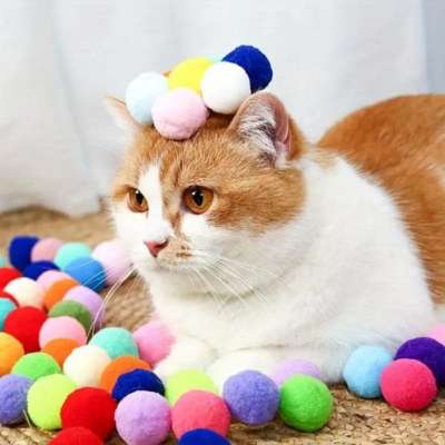 Funny-Toy-For-Cats-And-Dogs-Gallery-Img9-min